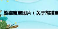 熊貓寶寶圖片(關于熊貓寶寶圖片的簡介)