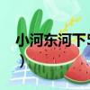 小河東河下54號（關于小河東河下54號簡介）