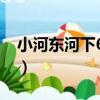 小河東河下69號（關于小河東河下69號簡介）