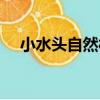 小水頭自然村（關于小水頭自然村簡介）