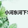 小河東河下55號（關于小河東河下55號簡介）