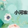 小河埃村（關于小河埃村簡介）