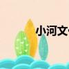 小河文化（關于小河文化簡介）