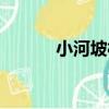 小河坡村（關于小河坡村簡介）