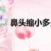鼻頭縮小多少錢上海（鼻頭縮小多少錢）