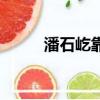 潘石屹靠誰發家的(潘石屹身價)