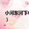 小河東河下67號（關于小河東河下67號簡介）