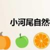 小河尾自然村（關于小河尾自然村簡介）
