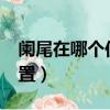 闌尾在哪個位置?人體解剖圖（闌尾在哪個位置）