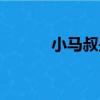 小馬叔是誰（馬大叔與小舅舅）