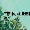 廣東中小企業創新與發展（關于廣東中小企業創新與發展介紹）