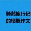 騎鵝旅行記的梗概作文400字（騎鵝旅行記 的梗概作文）
