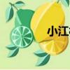 小江村（關于小江村簡介）