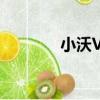 小沃VR（關于小沃VR簡介）