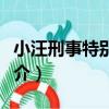 小汪刑事特別任務（關于小汪刑事特別任務簡介）