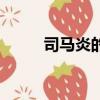 司馬炎的人物簡介(司馬炎簡介)
