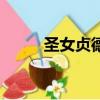 圣女貞德（關于圣女貞德的簡介）
