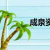 成泉資本怎么樣(成泉資本)