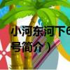 小河東河下66-11號（關于小河東河下66-11號簡介）