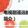 電視劇遙遠的婚約（關于電視劇遙遠的婚約的簡介）