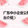 廣東中小企業公共服務平臺（關于廣東中小企業公共服務平臺介紹）