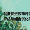 就業促進政策評估與組合優化問題研究（關于就業促進政策評估與組合優化問題研究簡介）