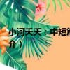小河夭夭：中短篇小說集（關于小河夭夭：中短篇小說集簡介）