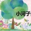 小河子組（關于小河子組簡介）