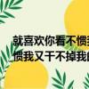 就喜歡你看不慣我又干不掉我的樣子6（關于就喜歡你看不慣我又干不掉我的樣子6簡介）