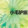 小毛驢旅游（關于小毛驢旅游簡介）