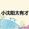 小沈陽太有才了（關于小沈陽太有才了簡介）