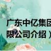 廣東中億集團有限公司（關于廣東中億集團有限公司介紹）
