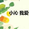 小沁 我愛你（關于小沁 我愛你簡介）