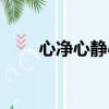 心凈心靜心境的意思（心境的意思）