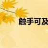 觸手可及 豆瓣(觸手可及 陳冠希)