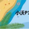 小沃P10（關于小沃P10簡介）