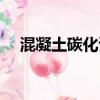混凝土碳化試驗圖片(混凝土碳化試驗)