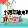 小河墓地鬼耳新娘（關于小河墓地鬼耳新娘簡介）
