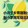 小河子鄉寄宿制小學高年級志愿服務隊（關于小河子鄉寄宿制小學高年級志愿服務隊簡介）
