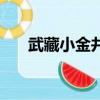 武藏小金井（關于武藏小金井的簡介）