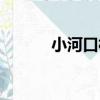 小河口村（關于小河口村簡介）
