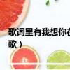 歌詞里有我想你在黑夜里是什么歌(我想你在黑夜里是什么歌)
