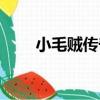 小毛賊傳奇（關于小毛賊傳奇簡介）