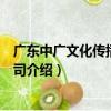 廣東中廣文化傳播有限公司（關于廣東中廣文化傳播有限公司介紹）