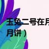 玉兔二號在月球背面(玉兔二號在月球表面畫月餅)
