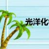 光洋化學應用材料（光洋化學）