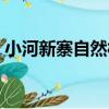 小河新寨自然村（關于小河新寨自然村簡介）