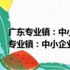 廣東專業鎮：中小企業集群的技術創新與生態化（關于廣東專業鎮：中小企業集群的技術創新與生態化介紹）