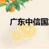 廣東中信國旅（關于廣東中信國旅介紹）