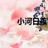 小河日夜唱（關于小河日夜唱簡介）